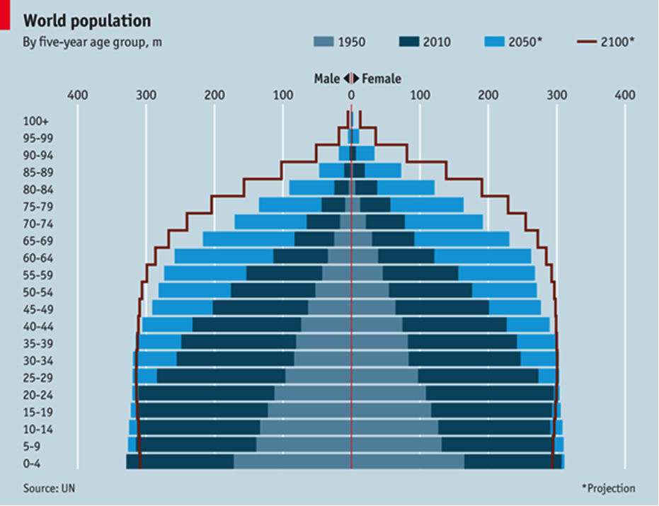 Средняя Продолжительность жизни в 2100 году. Население планеты к 2100 году. Демографическая пирамида населения земли.
